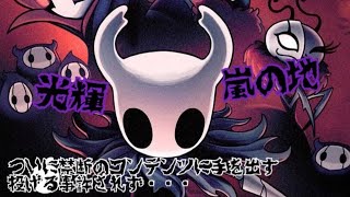 #38【Hollow knight 】日課の第四神殿