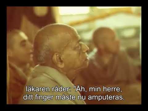 Prabhupada 0694 Placerad igen i denna tjänstattityd  Det är den perfekta kuren