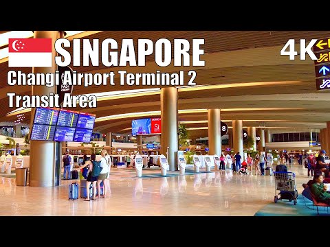 Descubra a área de trânsito do Terminal 2 do Aeroporto de Changi, Cingapura 🇸🇬 – Caminhada Virtual [4K] (▶65 min)