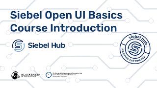 Siebel Open UI Basics - Course Introduction