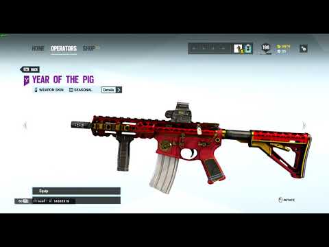 Rainbow six siege R6S showing 30+ seasonal and universal weapon skins