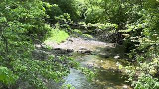 Relax, Sleep, Study & Meditate with the Energizing Sound and the Beauty of a Pure Mountain Stream