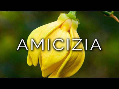 1475-IT Manuel, AMICIZIA - Ipnosi Esoterica ∞ Lucio Carsi