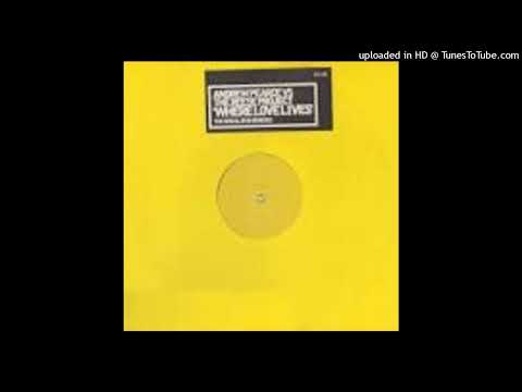 Andrew Pearce Vs. The Reese Project = Where Love Lives (Serial Diva Remix 3) {1996}