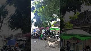 Download lagu Traditional market in Indonesia #market #pasar mp3 Download lagu Traditional market in Indonesia #market #pasar mp3