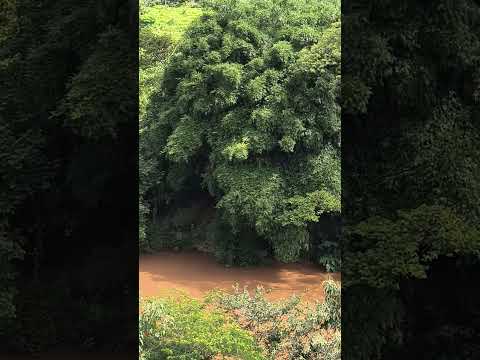Rio Suaçuí, fazenda maretas, São José do jacuri Minas gerais