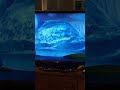 The Dam Breaks In Ice Age The Meltdown Iceage Shorts
