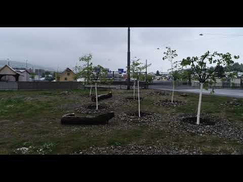 Klima_Oase_am_Seetalplatz_Emmen - Aufnahmen vom 5.05.2019