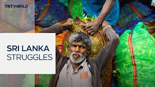 Middle East conflict disrupts Sri Lanka's $1.5B tea industry, exports fall 17%