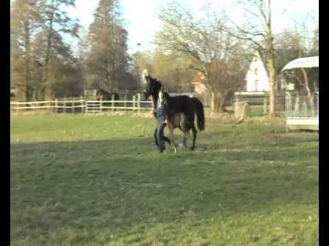 Fürstenball 8 3 2015