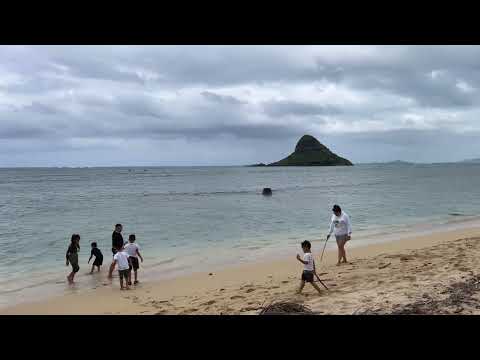 YouTube video
