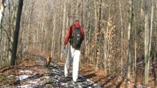 preview picture of video 'Best of The North Country Trail - Cazenovia Gorge'