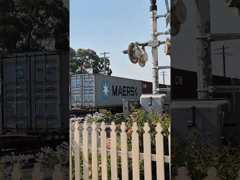 1102, 872and 1107 on Qube container train