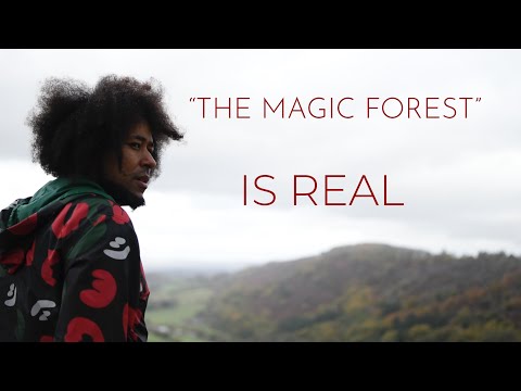 Chima Anya & SoulChef - The Magic Forest (ft Tahn Solo)