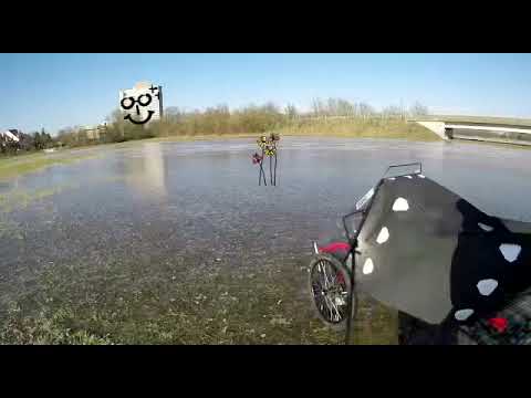 AMAZING ZOX4e ON ICE