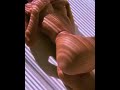 The Best Twerk