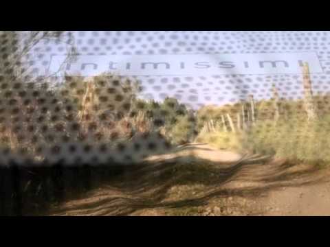 Beres Hammond - Give Thanks In The Morning