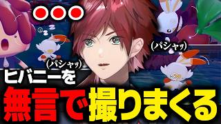 【ぽこあポケモン】あざとすぎるヒバニーの写真を無言で撮りまくるローレン【ローレン にじさんじ 切り抜き】
