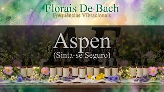 Aspen (Sinta-se Seguro) [Floral de Bach #02] | Canal: Altas Frequências