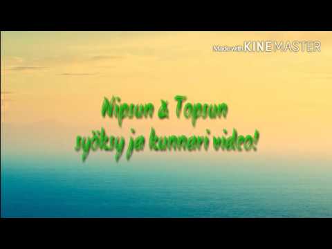 Syöksyjä & kunnareita