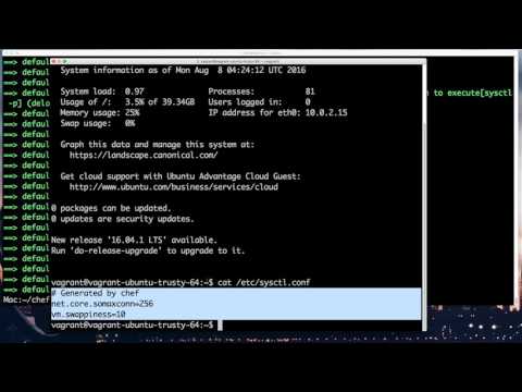 Chef Attributes demo part1 : Sysctl