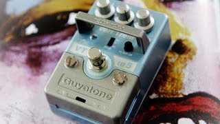 Video thumbnail for Guyatone: VTm5 VERI-TREM by Brett Kingman