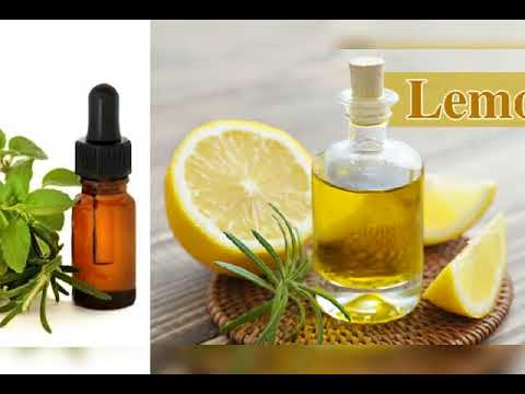 Ajowan Essential Oil, 200 L