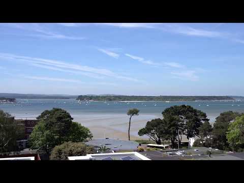 Philippa Sole, Top Picks — Harbour Heights