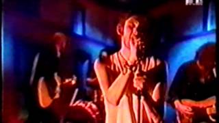 Shane MacGowan &amp; The Popes - That Woman&#39;s Got Me Drinking