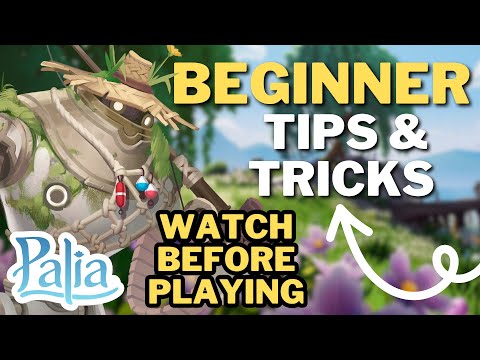 BEGINNERS GUIDE TO PALIA FOR NINTENDO SWITCH PLAYERS//TIPS & TRICKS// THINGS I WISH I KNEW SOONER
