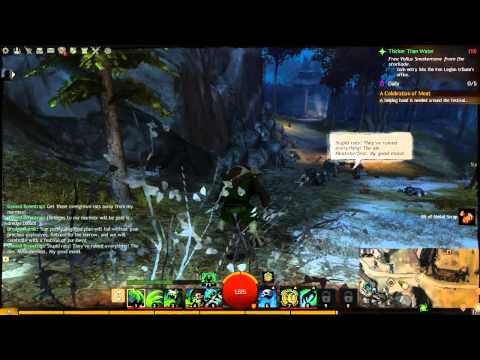 Guild Wars 2 LP Part 17 - Still Rambling
