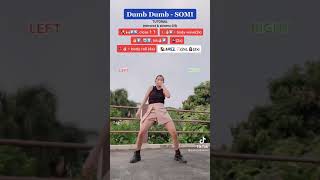 Dumb Dumb-Somi Dance Tutorial