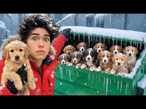 I Found 10 Lost Puppies in a Dumpster!
