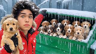 Download lagu I Found 10 Lost Puppies in a Dumpster! mp3
