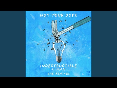 Indestructible (feat. MAX)