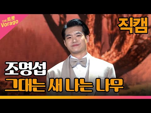 [세로 직캠]조명섭¸ 그대는 새 나는 나무 | 트롯쇼 230220