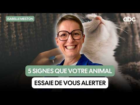 5 signes que votre animal essaie de vous alerter - Isabelle MESTON
