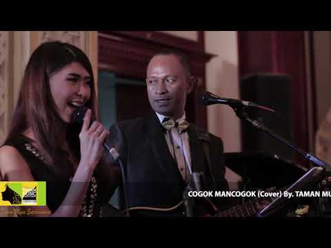 COGOK MANCOGOK - Elly Kasim ( Cover ) By Taman Music Entertainment at Dhanapala