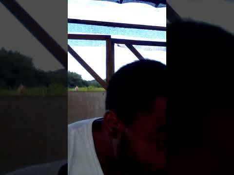 speng shell music 🎶