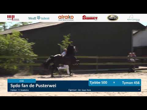 Locatiekeuring | 11 mei 2024 | Stal Bosma