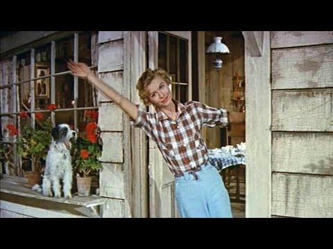 Johnny Maestro - Mr Happiness