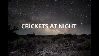 Download lagu Tidur Nyenyak Ditemani Jangkrik di Malam Hari - 2 Jam Suara Jangkrik dan Suara Malam Hari mp3 Download lagu Tidur Nyenyak Ditemani Jangkrik di Malam Hari - 2 Jam Suara Jangkrik dan Suara Malam Hari mp3