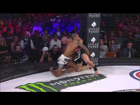 Bellator Featherweight Champion Daniel Straus Cleared To Compete Again