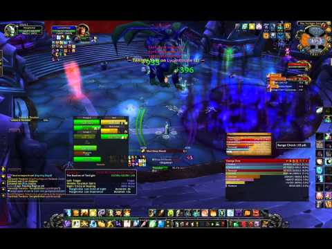 Singularity vs Heroic Valiona and Theralion - Holy Priest PoV