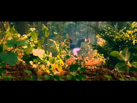 Hot Rod Fall Down Mountian