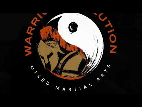 Warrior Evolution MMA Chicago