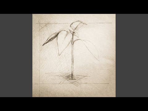 Video thumbnail for Who You Really Are