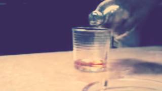 The Push Stars - Drunk is Better than Dead