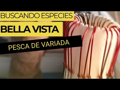 PESCA DE VARIADA EMBARCADA EN BELLA VISTA CORRIENTES.