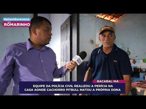 EQUIPE DA POLÍCIA CIVIL REALIZOU A PERÍCIA NA CASA AONDE CACHORRO PIT BULL MATOU A PRÓPRIA DONA